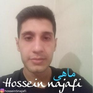 حسین نجفی - ماهی
